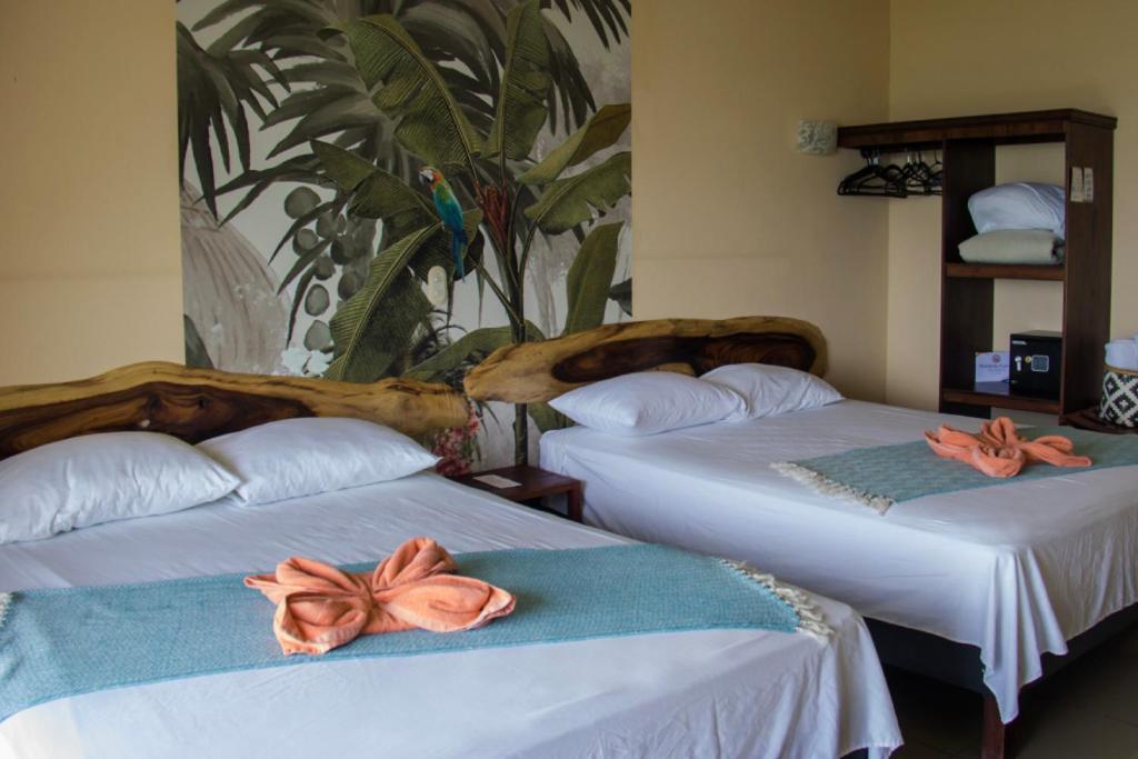 Sunshine Sanctuary Boutique Jungle Lodge Montezuma Extérieur photo