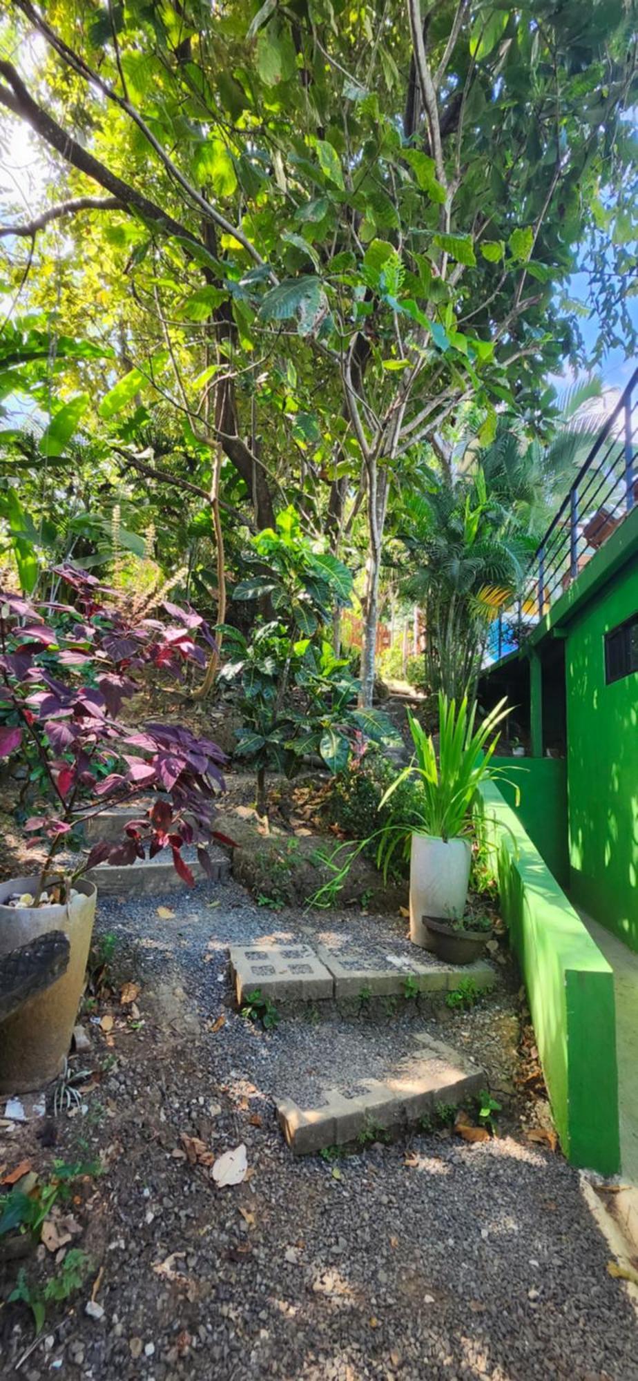 Sunshine Sanctuary Boutique Jungle Lodge Montezuma Extérieur photo